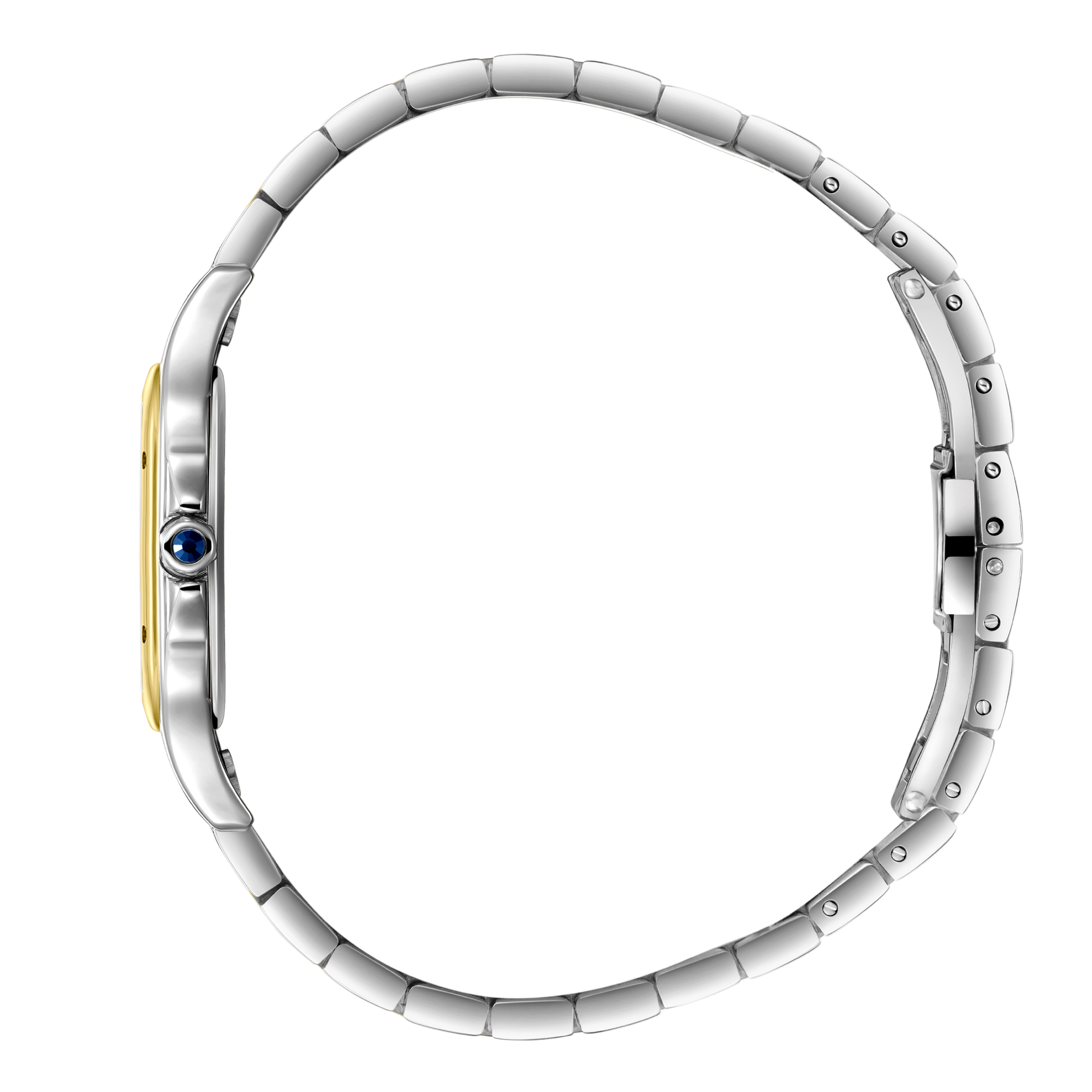 Polo Women's Watch BP3824C.230