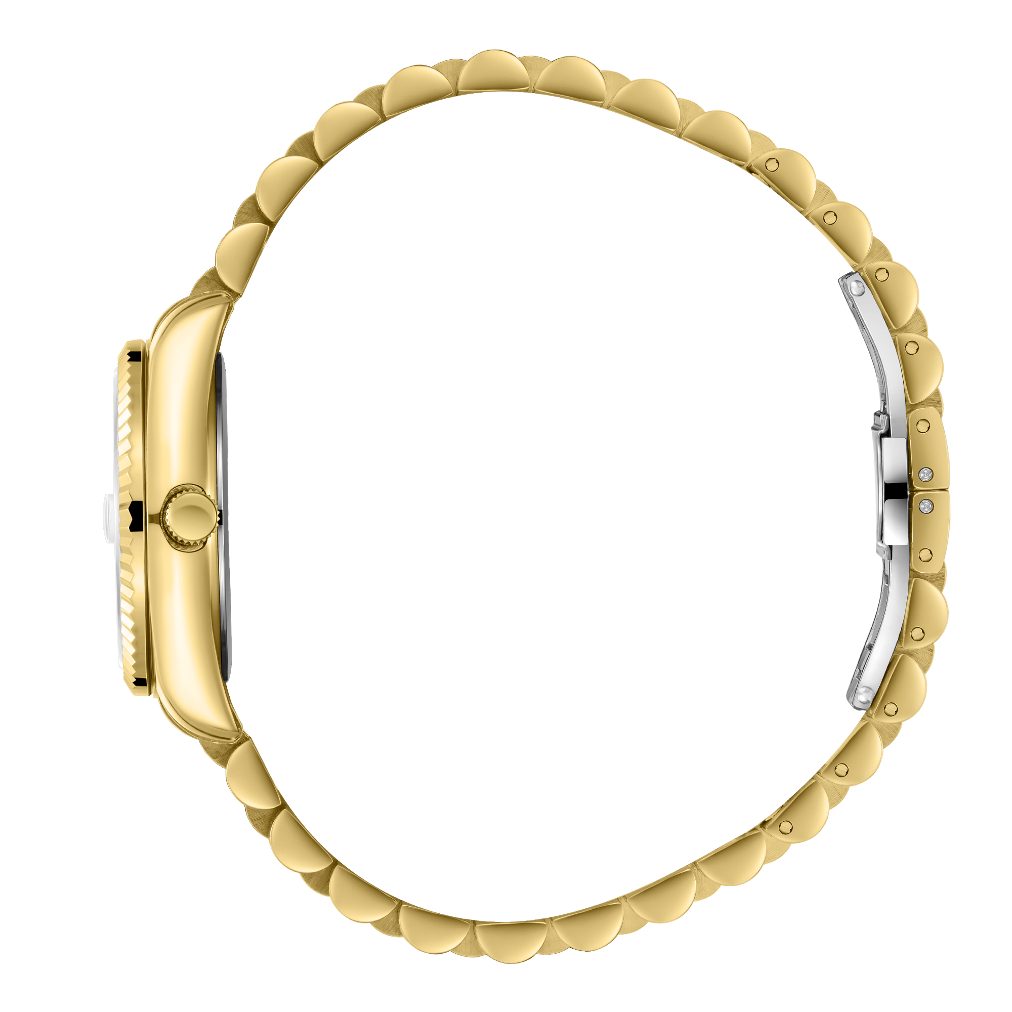 Polo Women's Watch BP3827X.150