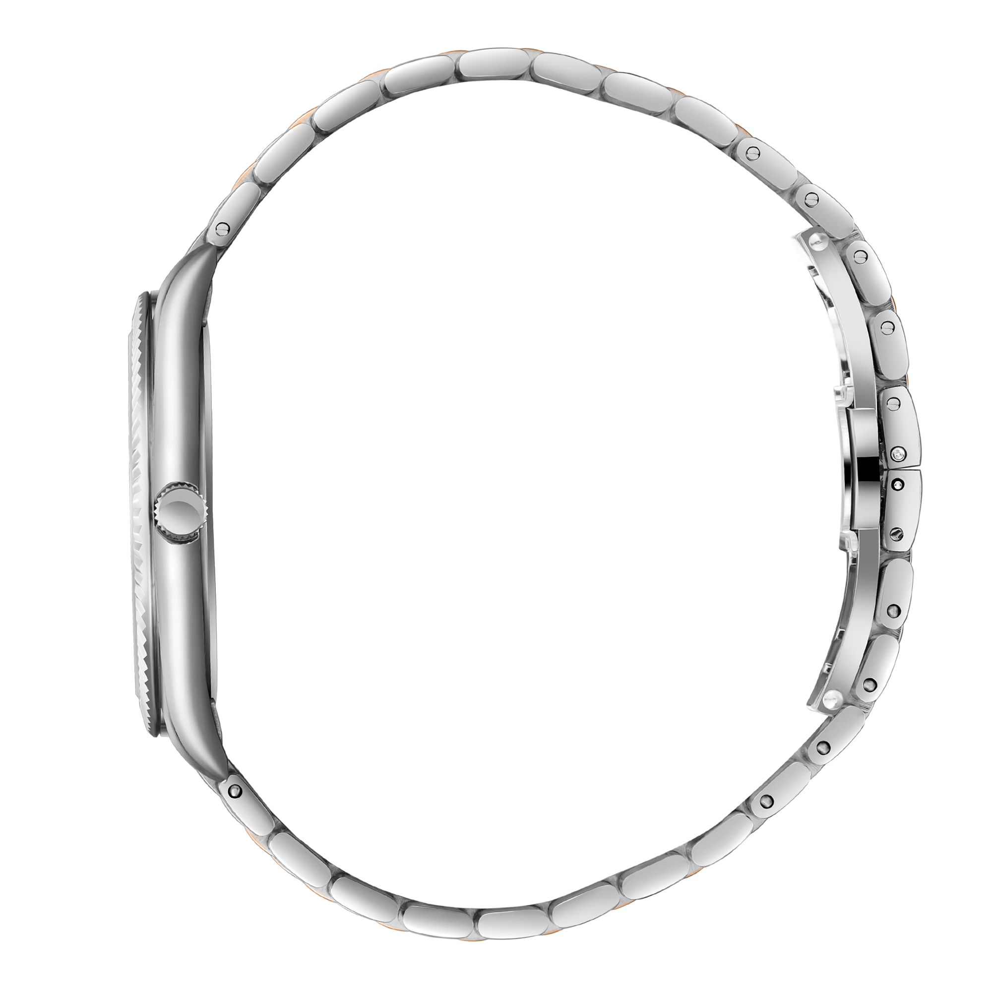 Polo Men's Watch BP3830X.560