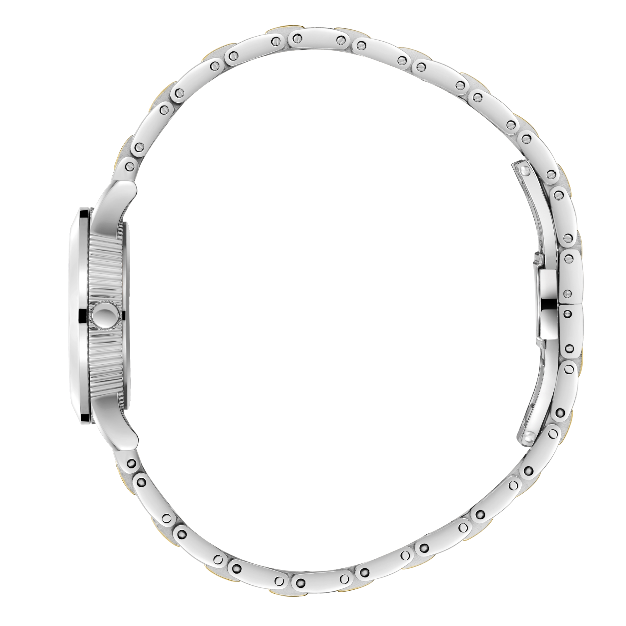 Polo Women's Watch BP3842X.220