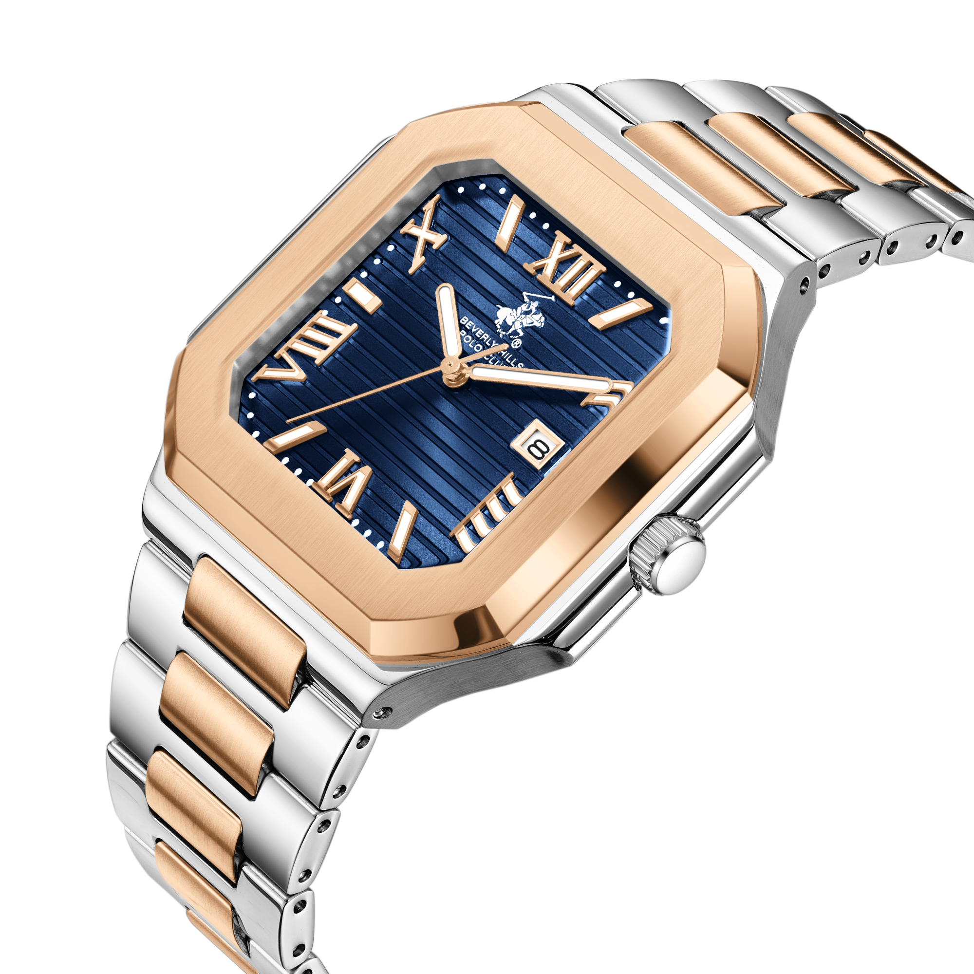 Polo Men's Stainless Steel Watch BP3845X.590