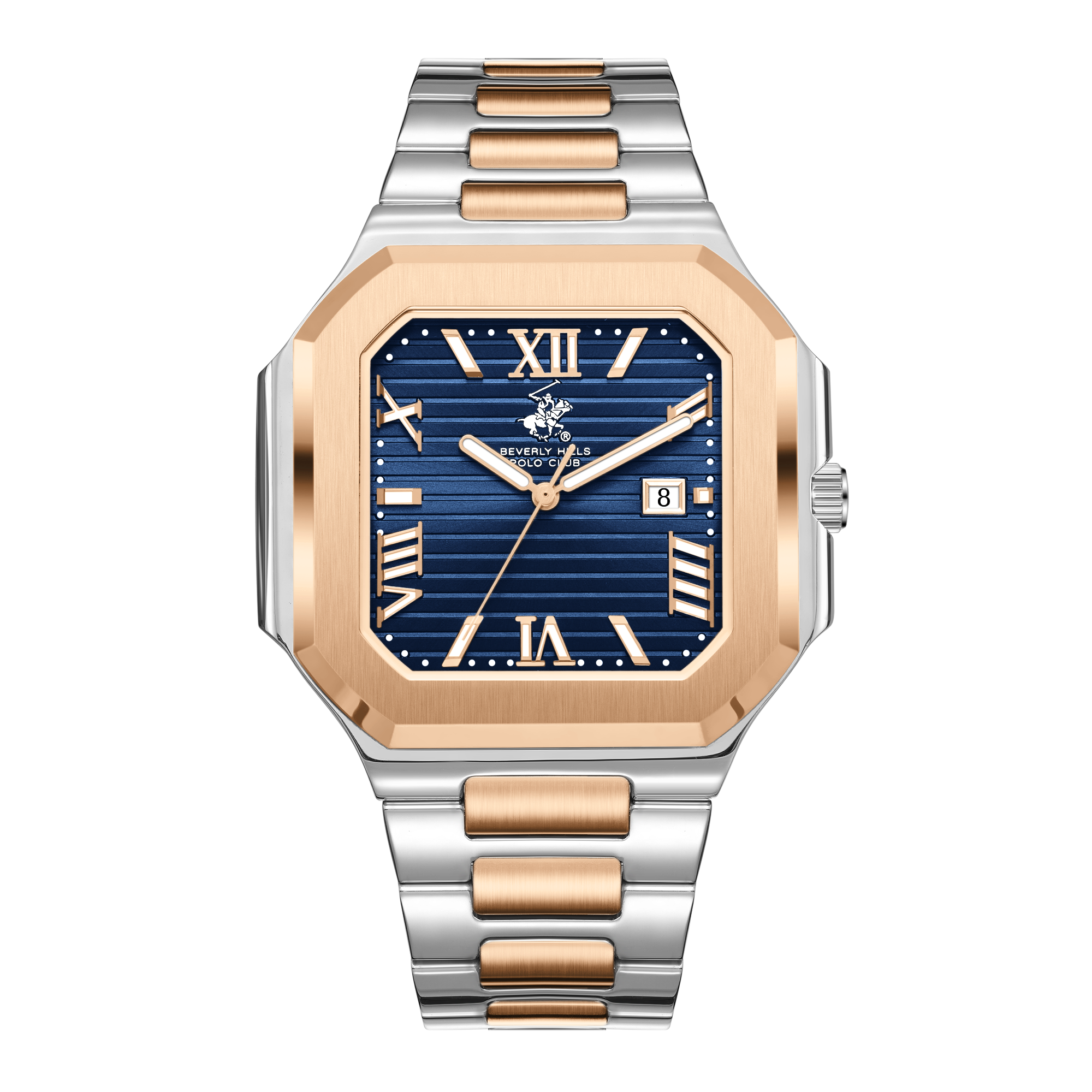 Polo Men's Stainless Steel Watch BP3845X.590