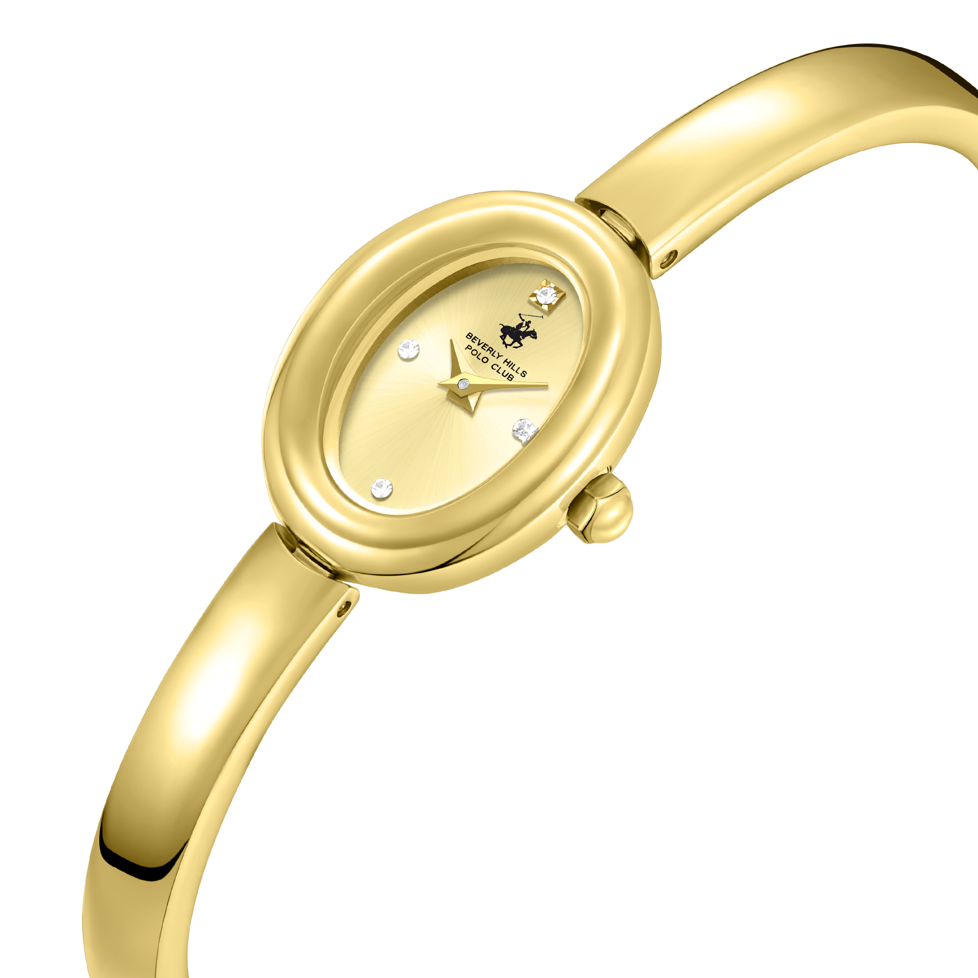 Polo Women's Watch BP3889C.110