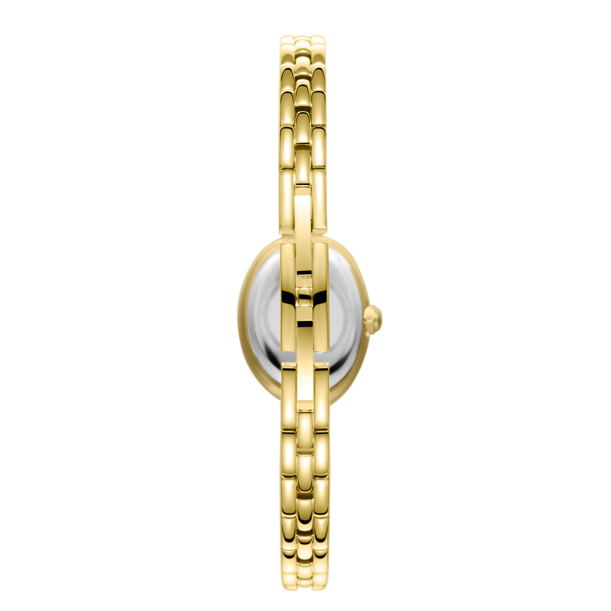 Polo Women's Watch BP3889C.110