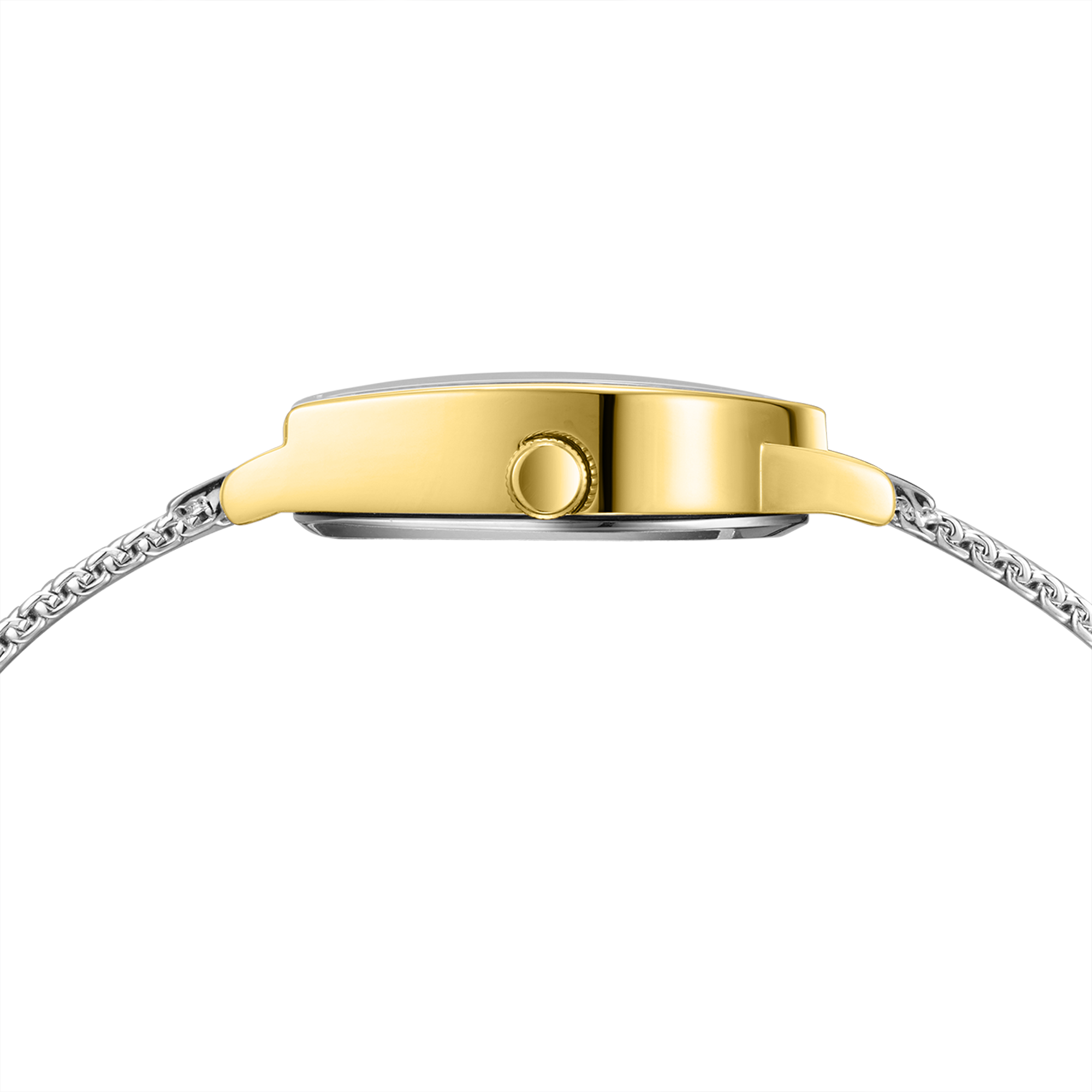 Polo Women's Watch BP3826C.220