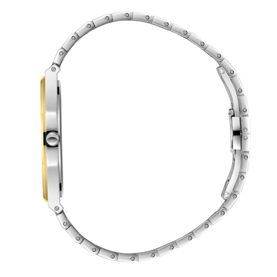 Polo Men's Stainless Steel Watch BP3832X.230