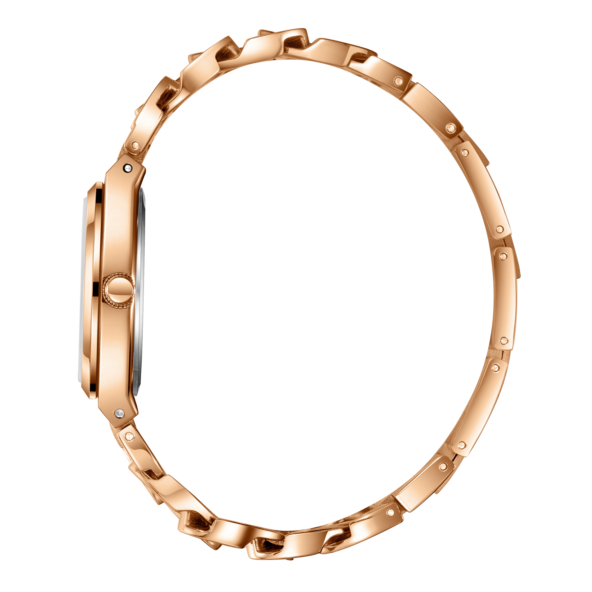 Polo Women's Watch BP3879C.410
