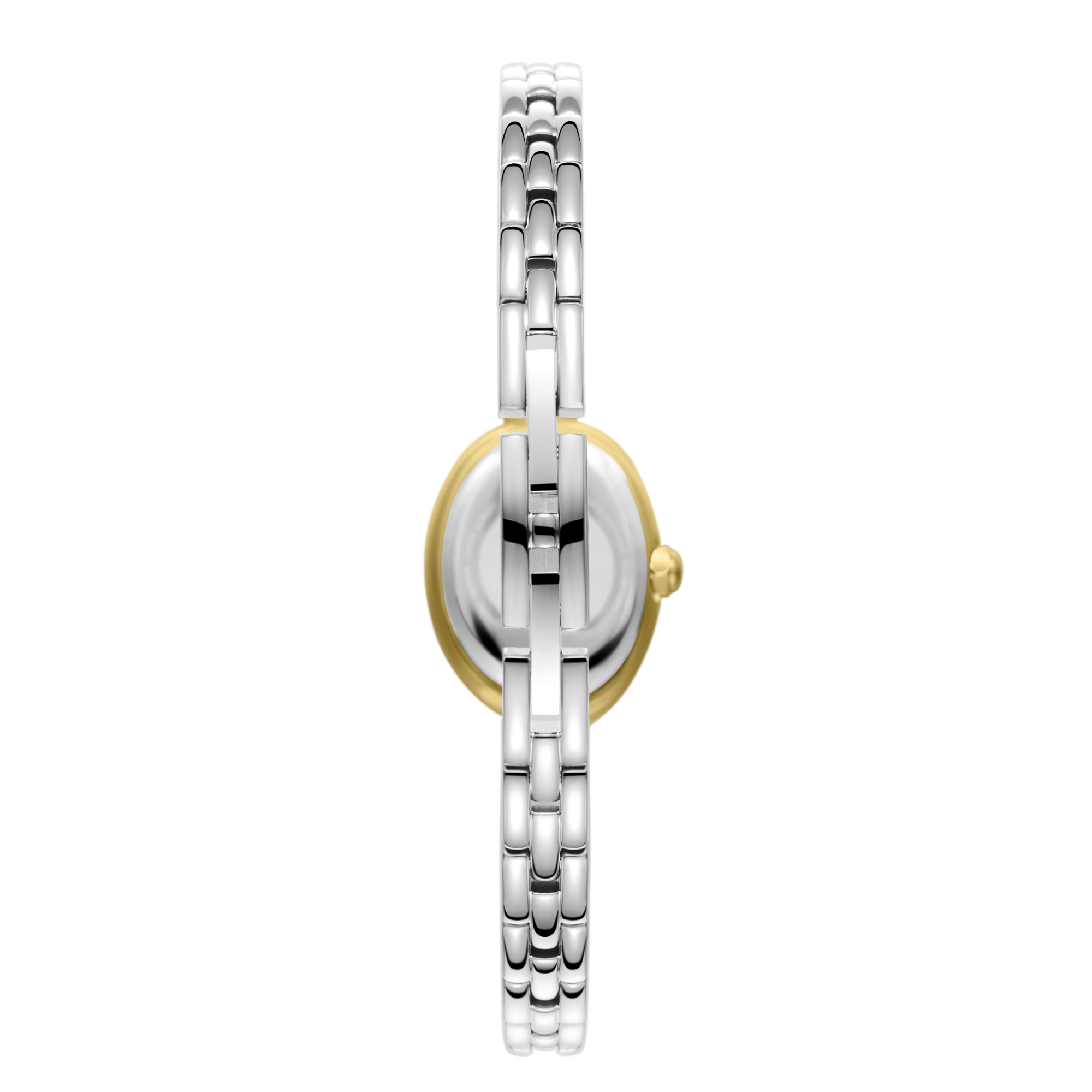 Polo Women's Watch BP3889C.220